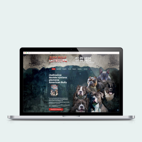 Pagination