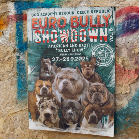 EuroBullyShowdown Beroun – Striking Poster Design