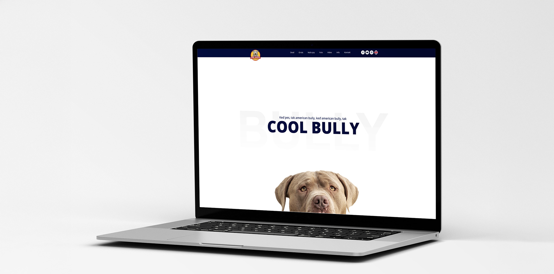 Cool Bully – Exclusive Web Design for an American Bully Kennel