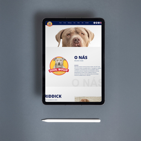 unique web design for dog kennel